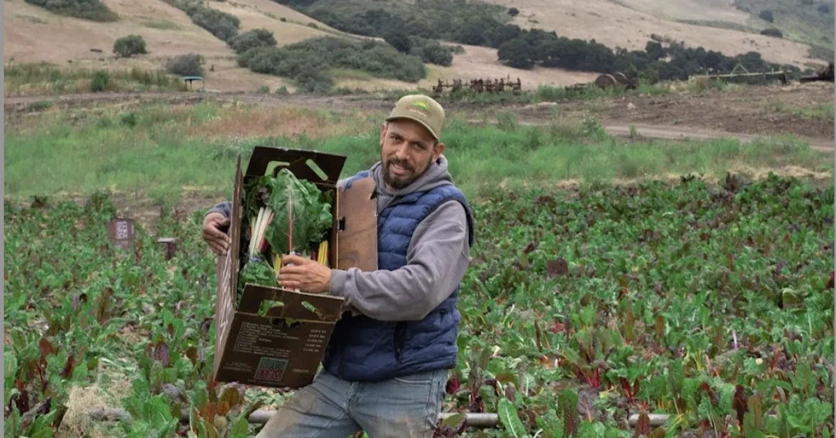 Free business skills training offered to farmers, ranchers and food vendors | Food Blog